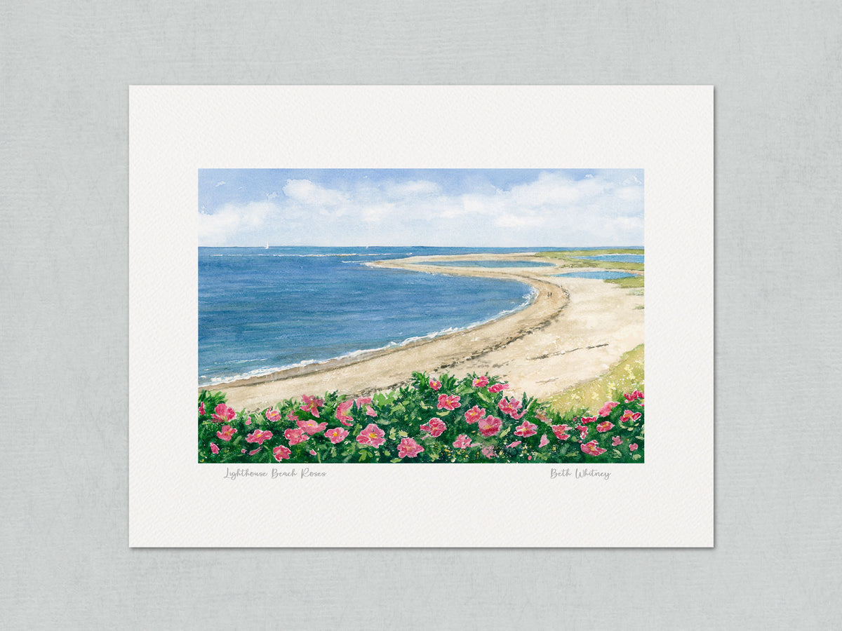 Unmatted archival watercolor print of Lighthouse Beach Roses, Chatham, Massachusetts, on gray background.