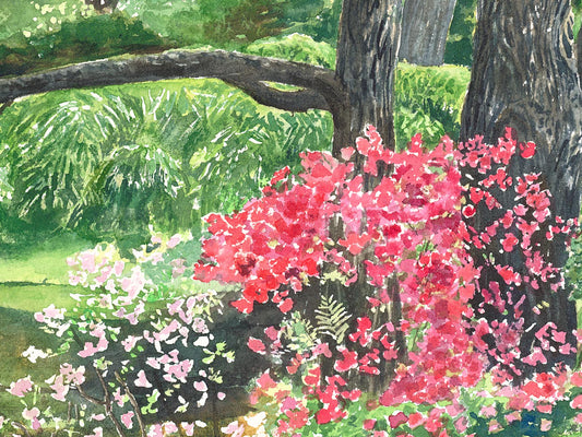 Close-up detail of original watercolor painting of Lily Pond, showing pink azalea blooms and still pond water.