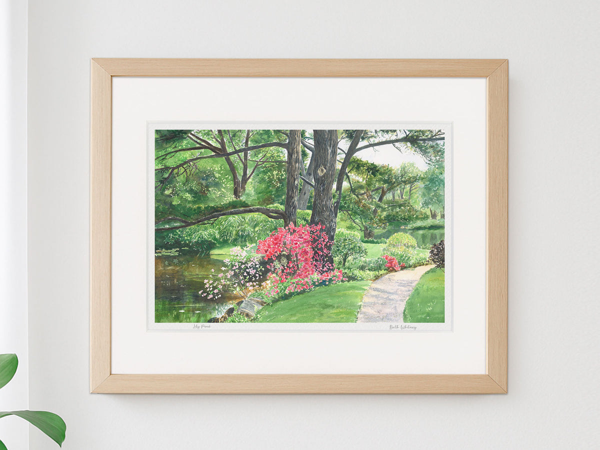 Framed watercolor print of Lily Pond, Asticou Azalea Garden, Northeast Harbor, in a warm wood frame on a neutral wall.