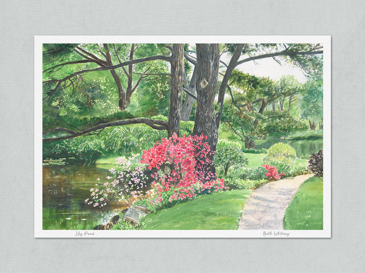 Unmatted archival watercolor print of Lily Pond, Asticou Azalea Garden, Northeast Harbor, Maine, on gray background
