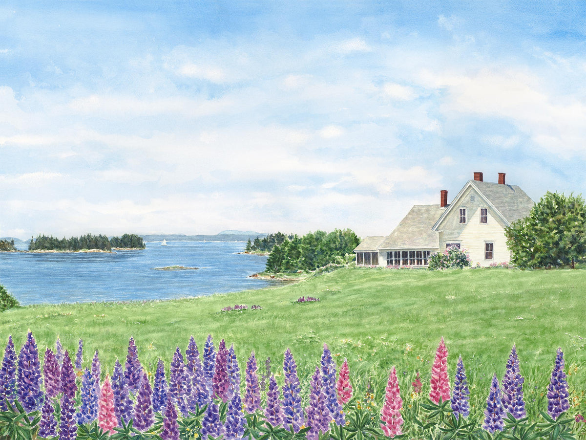 Original watercolor painting of a white seaside cottage surrounded by purple and pink lupines in Sunset, Deer Isle, Maine, with ocean cove and islands beyond, by Beth Whitney.