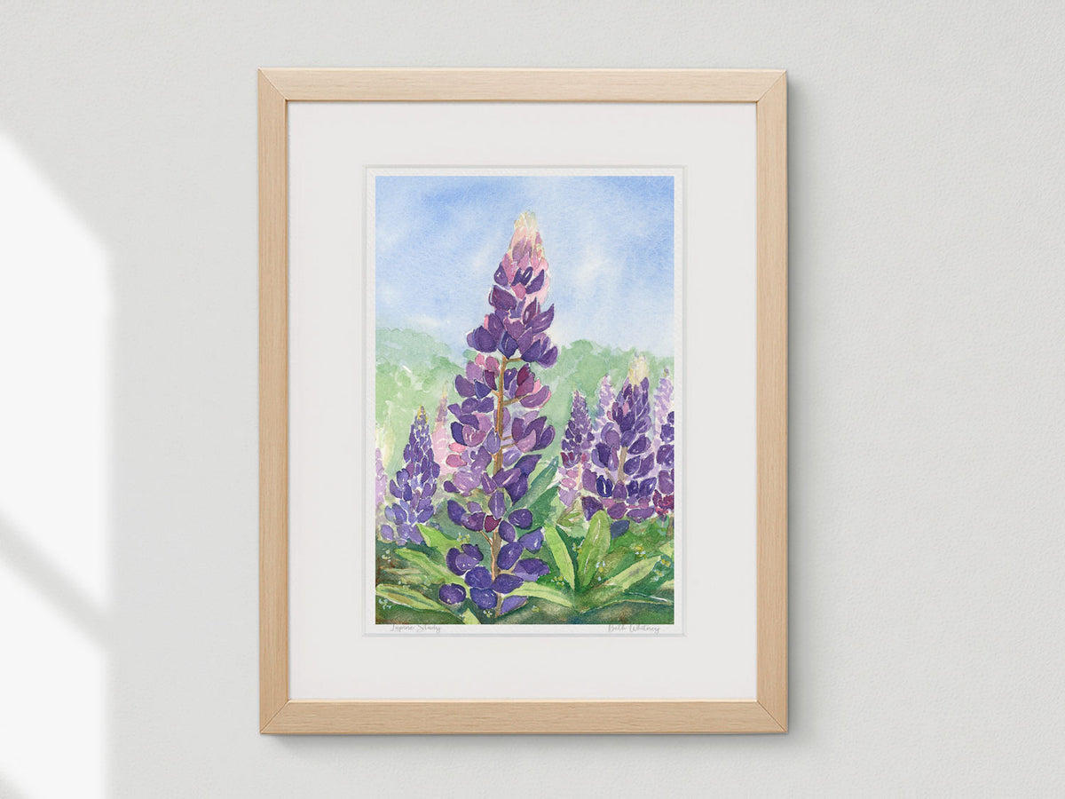 Framed watercolor print of Lupine Study, Trenton, Maine, in a warm wood frame on a neutral wall.