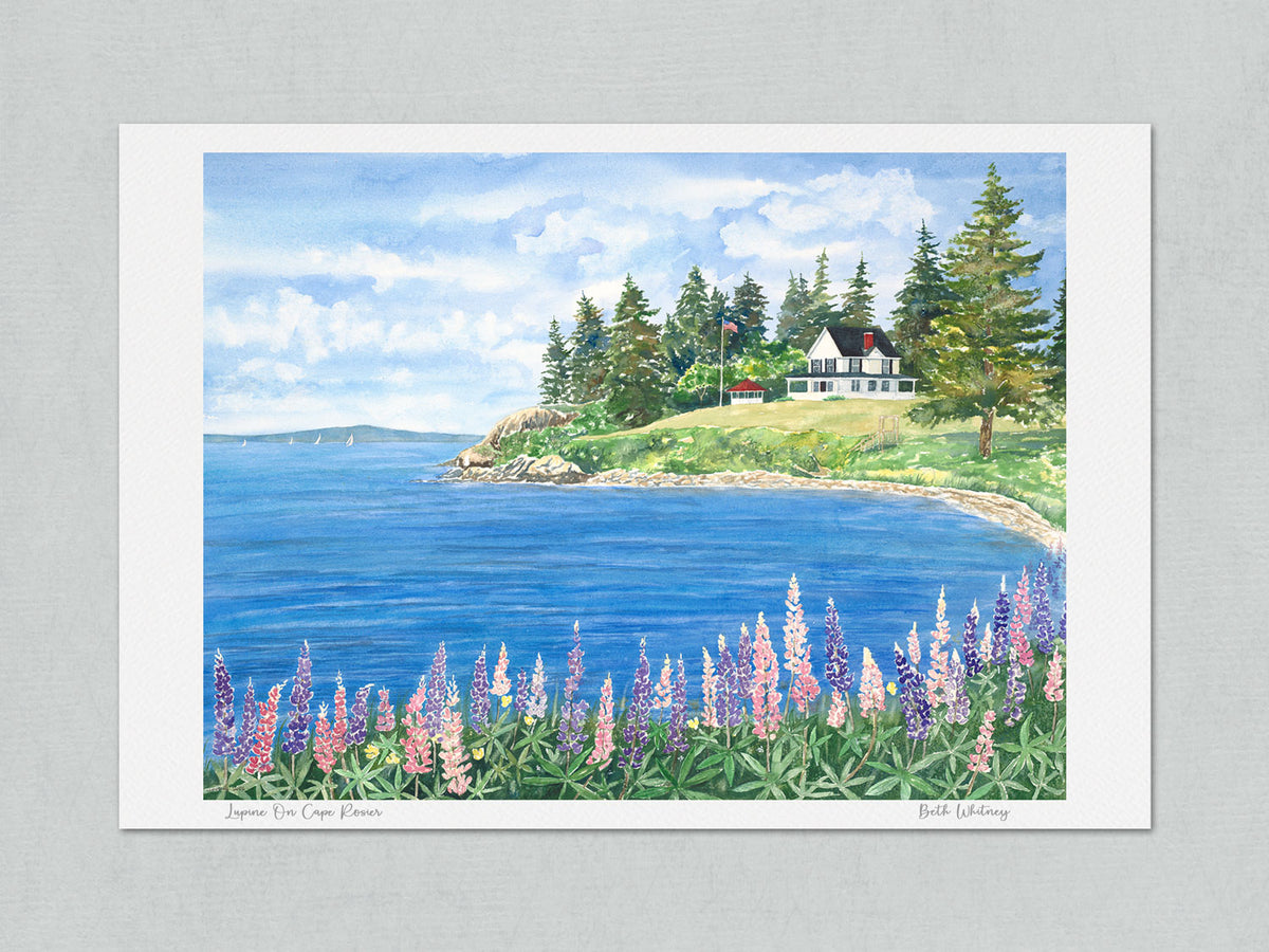 Unmatted archival watercolor print of Lupine on Cape Rosier, Cape Rosier, Penobscot Bay, Maine, on gray background.
