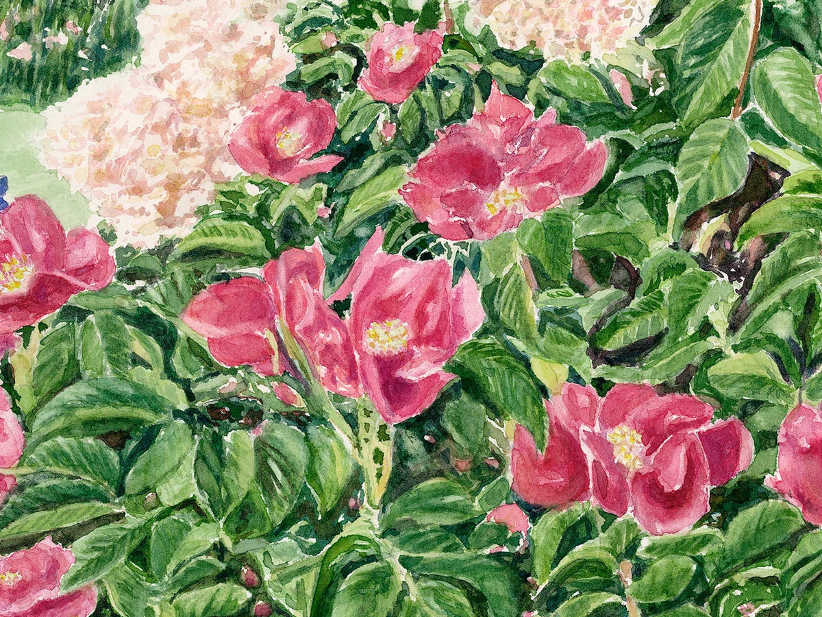Close-up detail of brushwork for my original watercolor painting of Marshall Point Light, showing pink roses and hydrangeas in the keeper's garden.