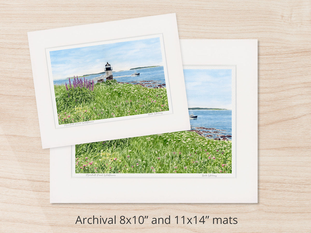 Archival watercolor prints of Marshall Point Wildflowers, Port Clyde, Maine, shown in 8x10 and 11x14 mat sizes.