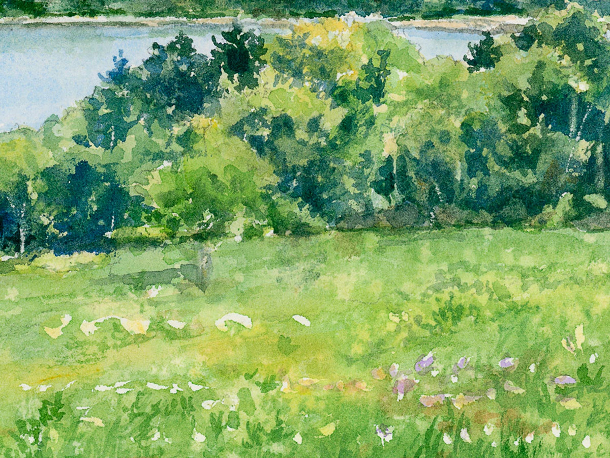 Close-up detail showing watercolor brushwork in this original painting of Morgan Bay, showing lush summer wildflowers in the foreground field.