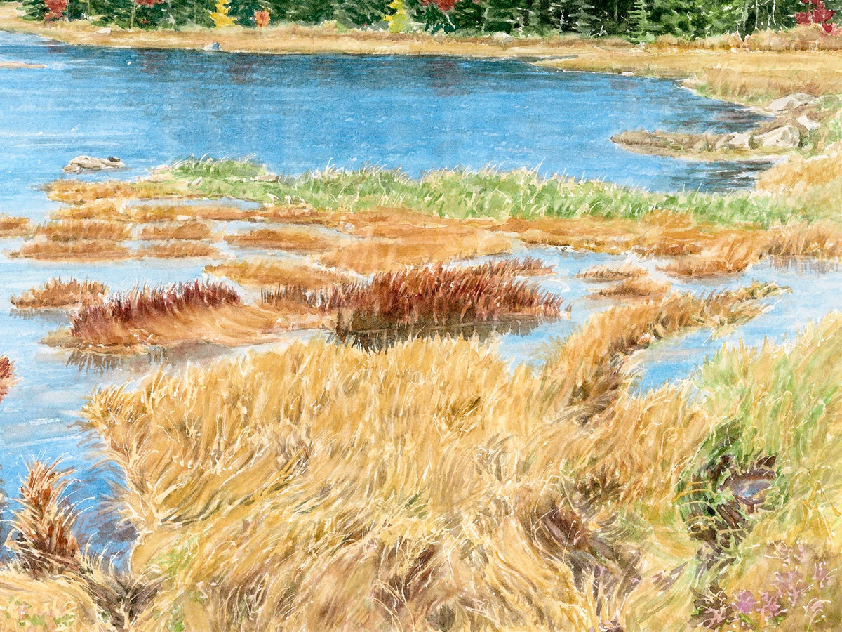 Close-up detail of original watercolor painting of Mt Desert Narrows, showing detailed brushwork of the golden marsh grasses and glassy blue water.
