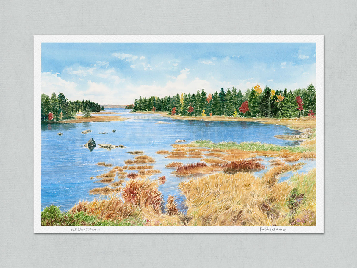 Unmatted archival watercolor print of Mt Desert Narrows near Acadia, showing the artist's signature and painting title, on gray background.