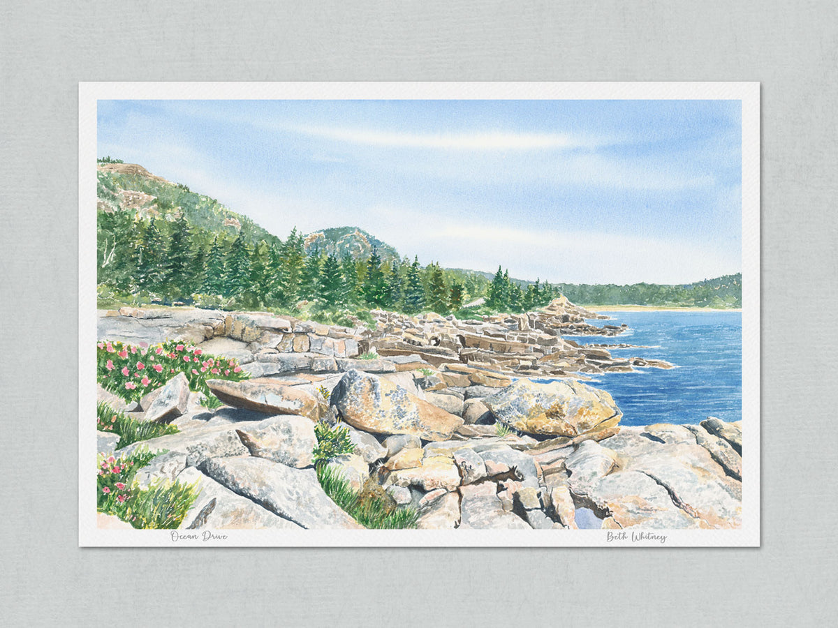 Signed, unmatted archival watercolor print of Ocean Drive, Acadia National Park, Maine, on gray background.