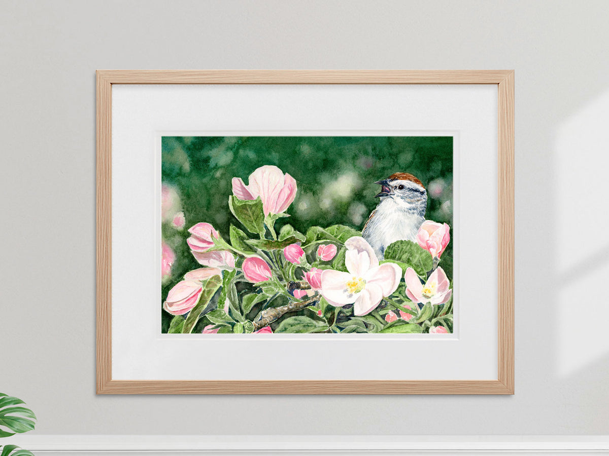 Framed original watercolor painting of Ode to Spring, chipping sparrow on a blooming apple bough, in a warm wood frame on a sunny wall.