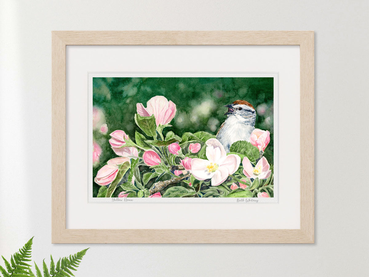 Framed watercolor print of Ode to Spring, chipping sparrow on apple blossoms, in a warm wood frame with fern styling.