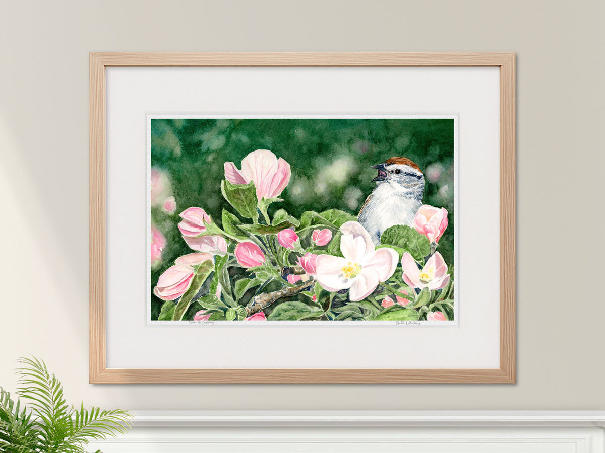Framed watercolor print of Ode to Spring, chipping sparrow and apple blossoms, in a warm wood frame on a neutral wall.