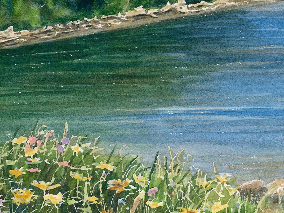 Close-up detail of the watercolor painting ‚ÄúOtter Creek Cove,‚Äù highlighting coastal wildflowers and shoreline textures at Otter Creek Cove in Acadia National Park, Maine.