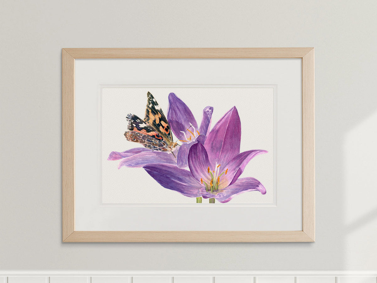 Framed watercolor painting of an orange and black painted lady butterfly on a purple crocus flower in a neutral home decor lifestyle setting.