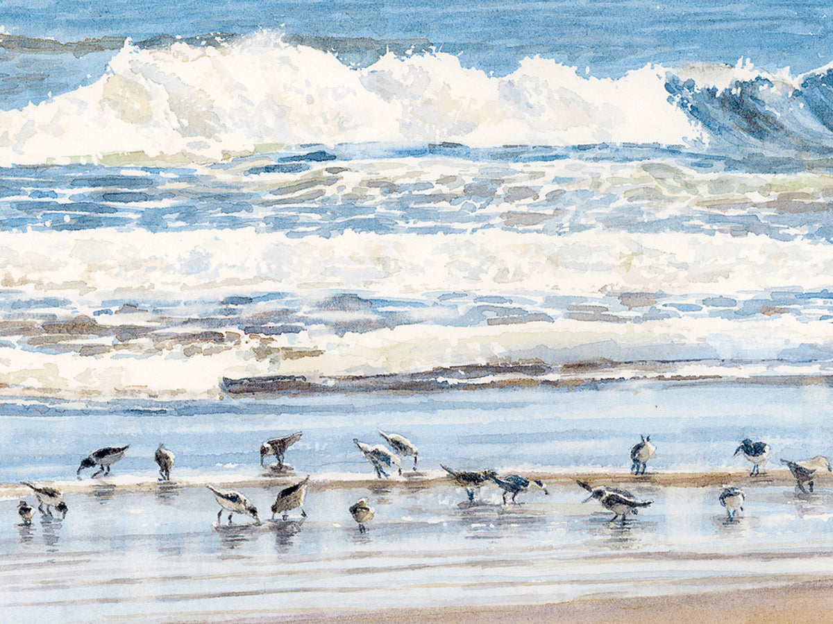 Close-up detail of original watercolor painting of Pond Island Light, showing shorebirds feeding with crashing surf on Popham Beach.