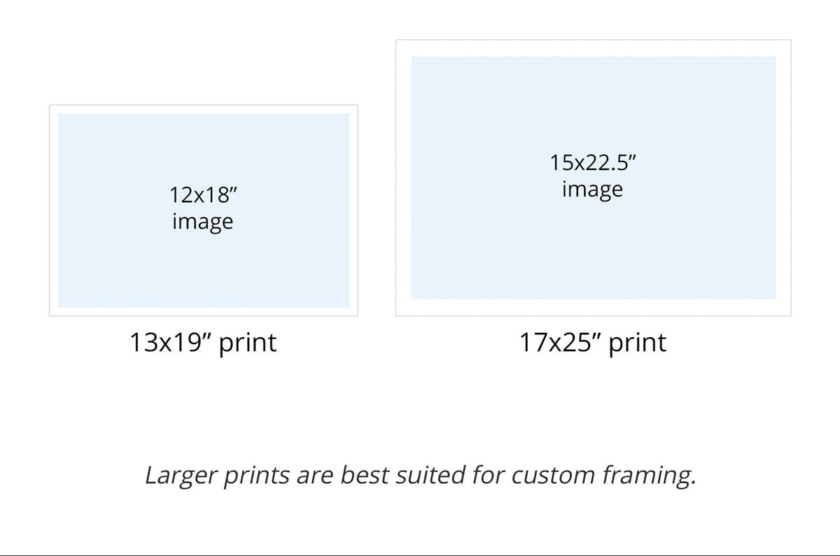 Chart showing different print sizes with white borders for easy framing.