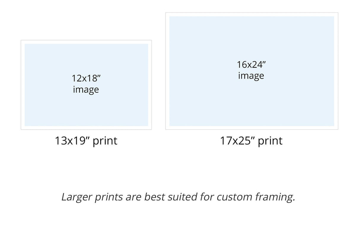 Chart showing different print sizes with white borders for easy framing.