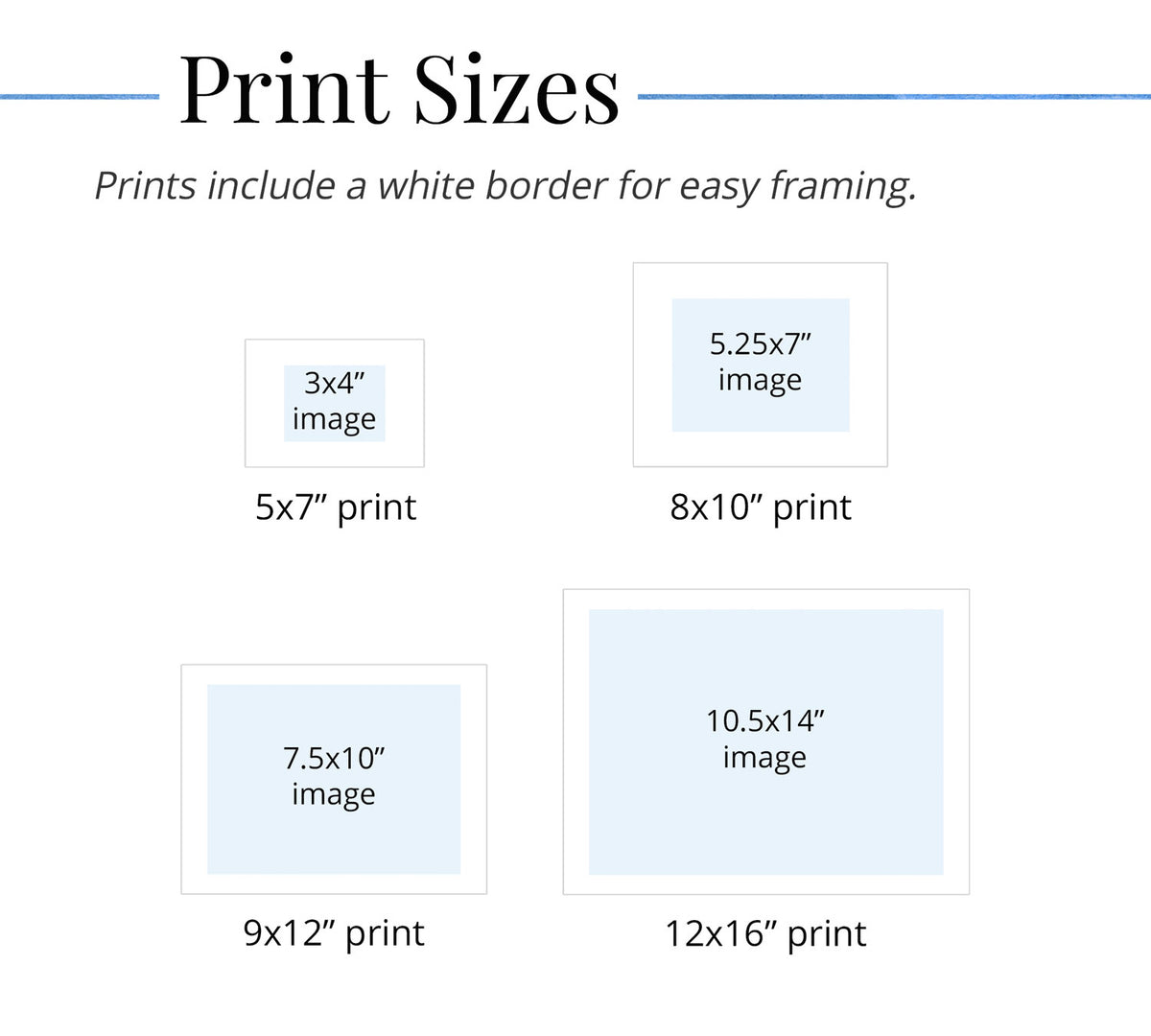 Chart showing various print sizes with white borders for easy framing.