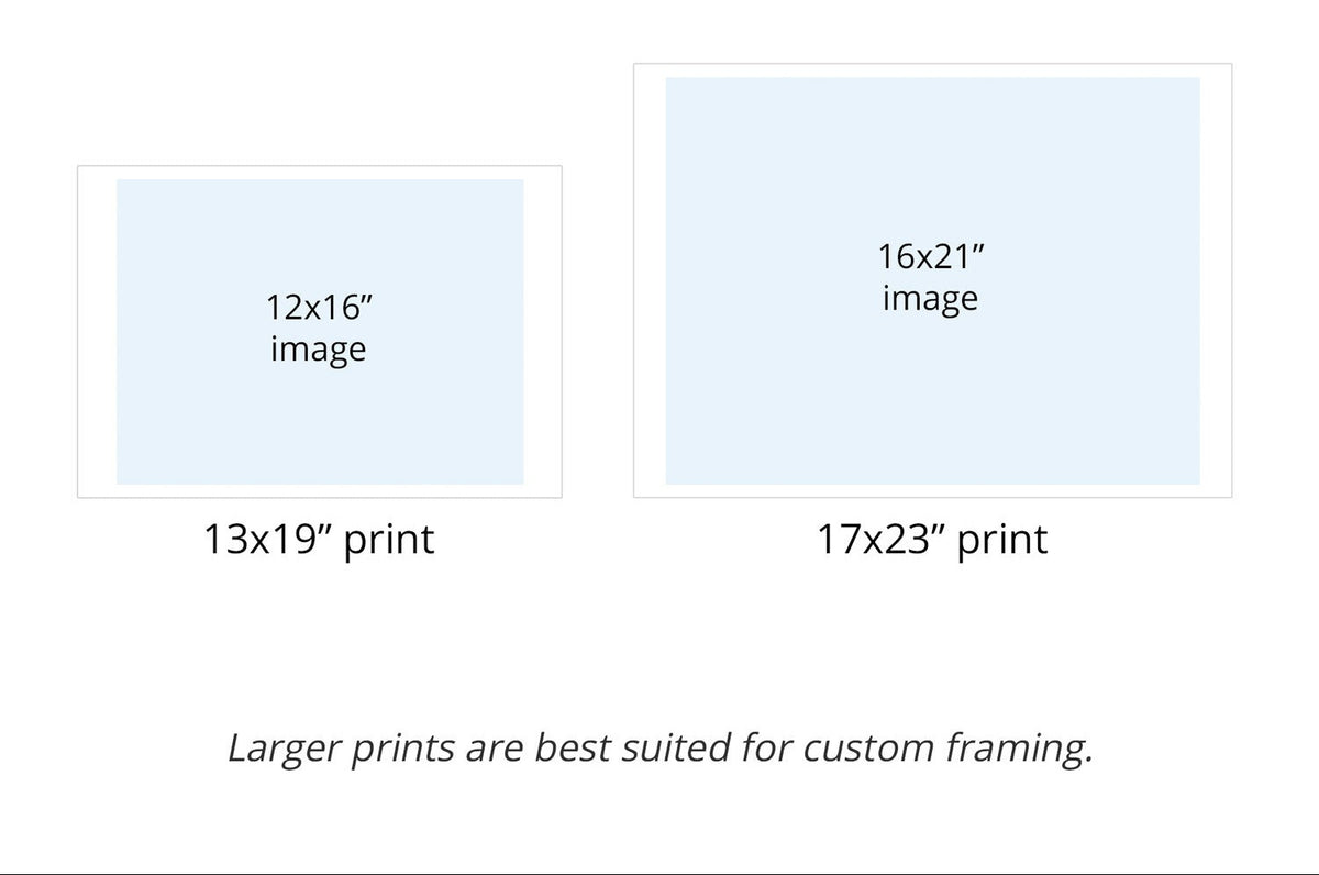 Chart showing different print sizes with white borders for easy framing.