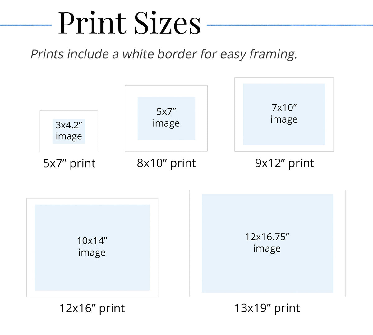 Chart displaying various print sizes with white borders for easy framing.