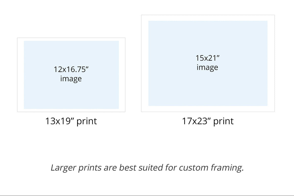 Chart showing different print sizes with white borders for easy framing.