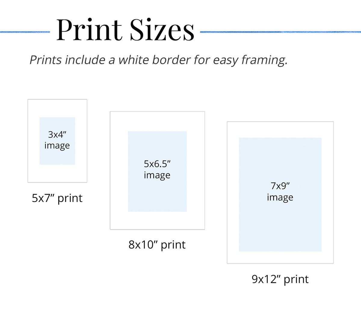 Chart showing available watercolor print sizes: 5x7, 8x10, and 9x12 inches.