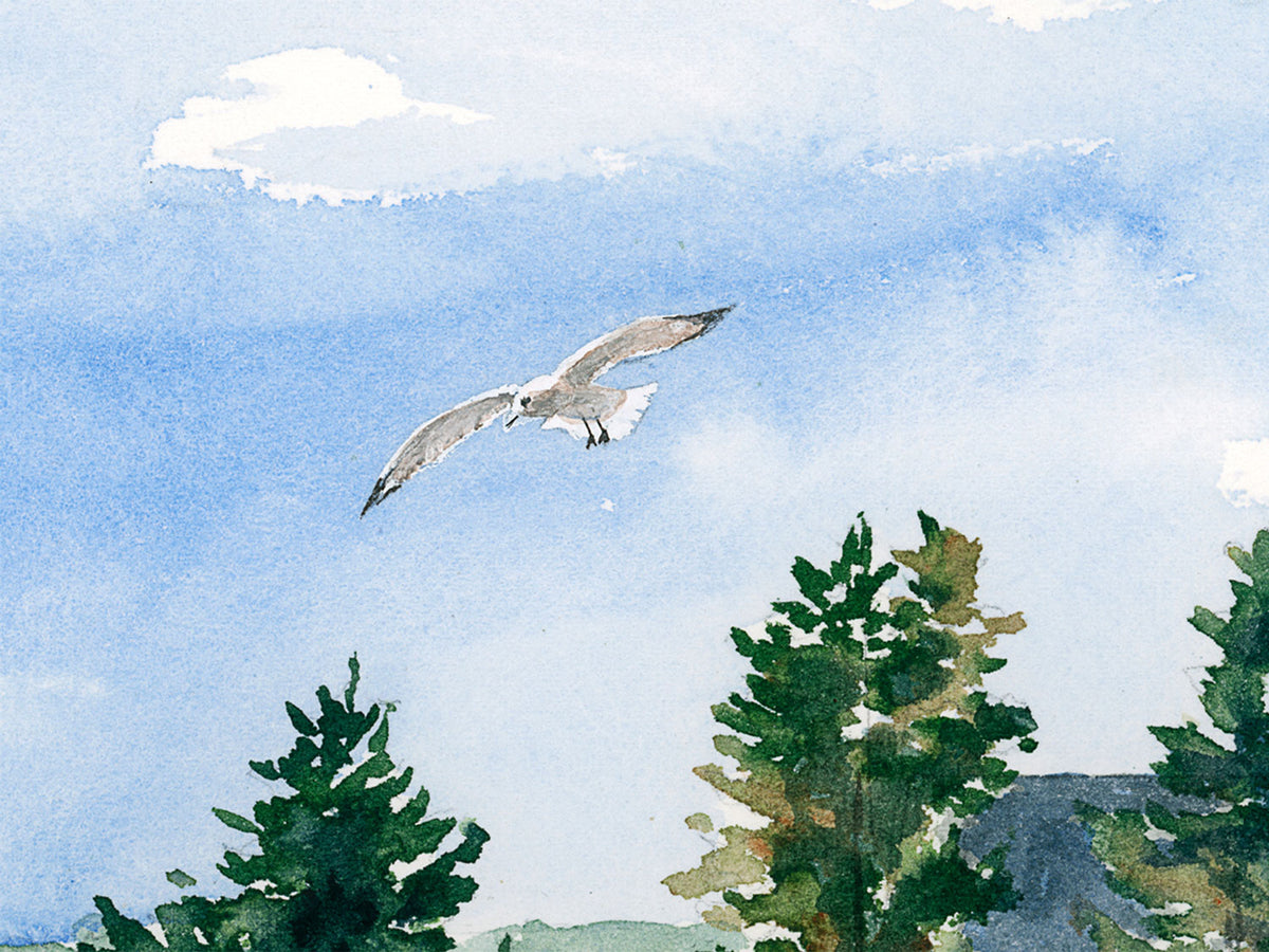Close-up detail of original watercolor painting of Pumpkin Island Light, showing a gull riding the wind.