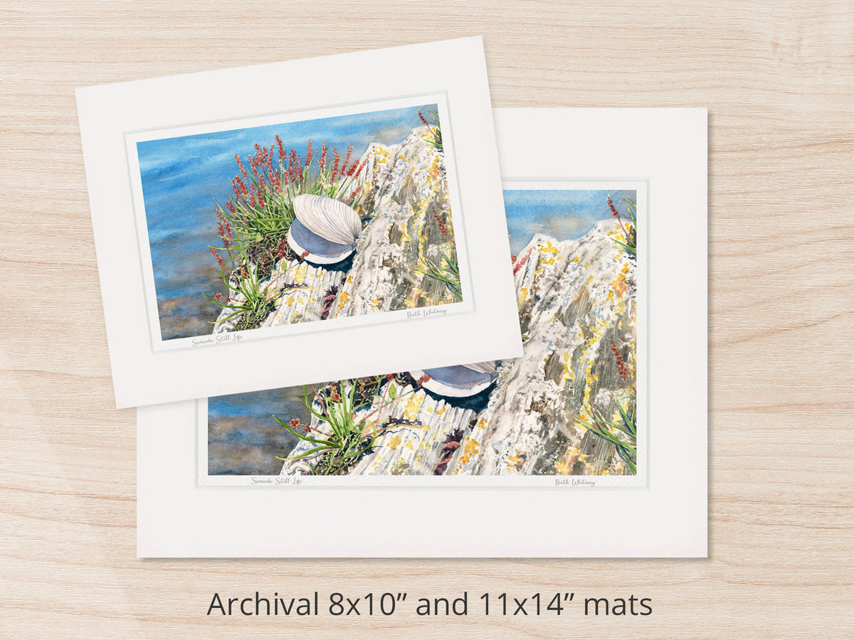 Archival watercolor prints of Seaside Still Life, Orr's Island, Harpswell, Maine, shown in 8x10 and 11x14 mat sizes.
