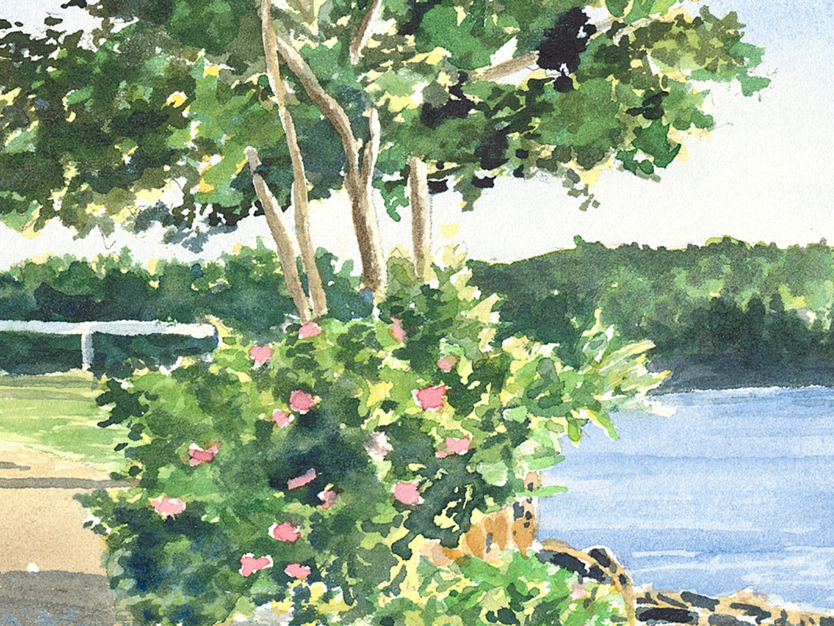 Close-up detail of original watercolor painting of Shore Path Bar Harbor, showing brushwork on the birch trees and roses along the path.