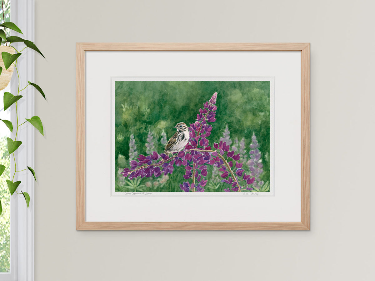 Framed watercolor print of Song Sparrow and Lupine, Bremen, Maine, in a warm wood frame with plant styling.