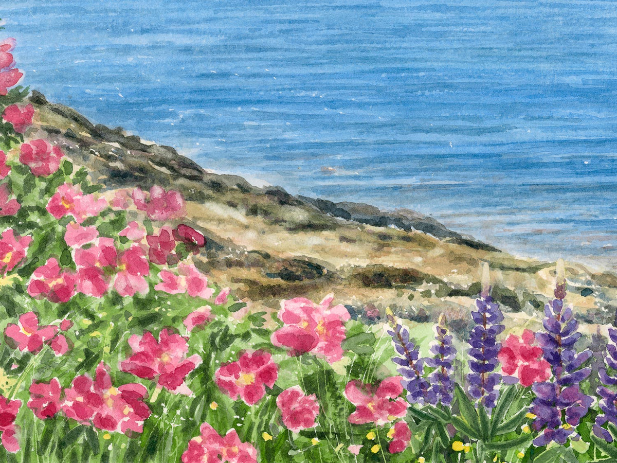 Close-up detail of brush strokes on the original watercolor painting of Sorrento Summer, showing pink roses and purple lupine along the rocky shore.