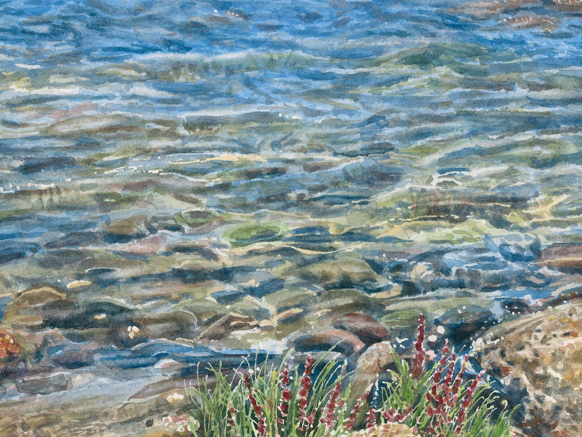 Close-up detail of original watercolor painting of Spirit Pond, showing transparent water and underwater rocks along the shore.