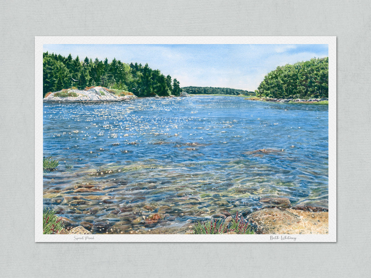 Unmatted archival watercolor print of Spirit Pond, Phippsburg, Maine, with Beth Whitney's signature and painting title, on gray background.