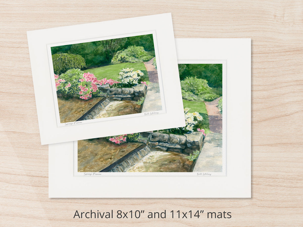 Archival watercolor prints of Spring's Promise, Asticou Azalea Garden, Northeast Harbor, Maine, shown in 8x10 and 11x14 mat sizes.