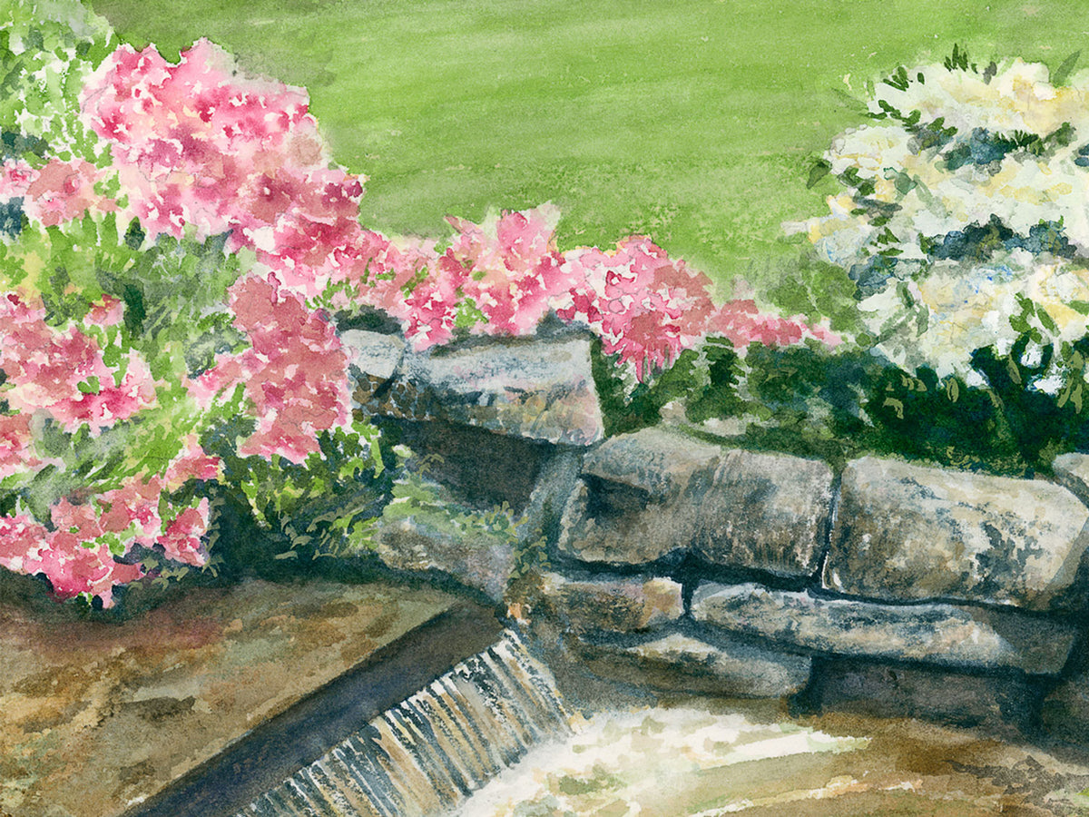 Close-up detail of original watercolor painting of Spring's Promise, showing pink azaleas and rhododendrons beside the garden waterfall.