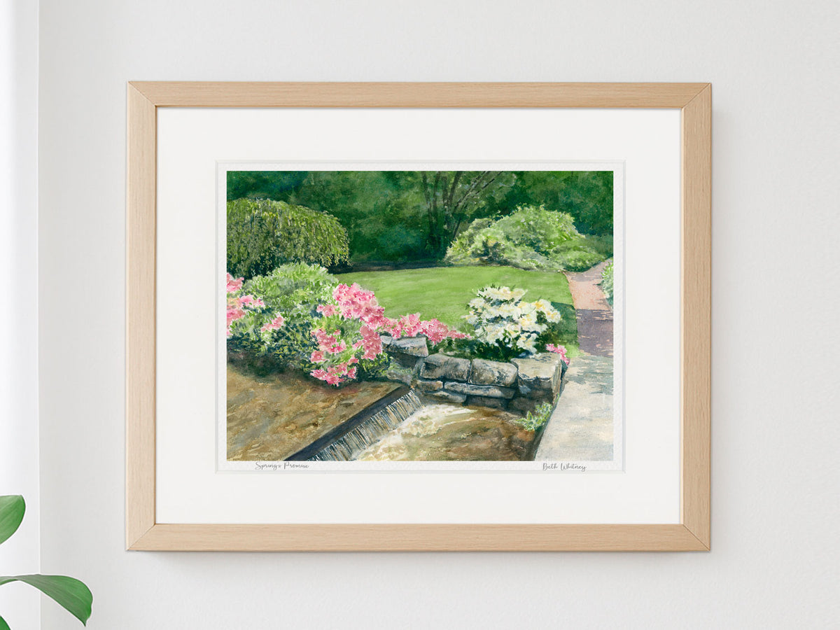 Framed watercolor print of Spring's Promise, Asticou Azalea Garden, Northeast Harbor, Maine, in a warm wood frame on a neutral wall.