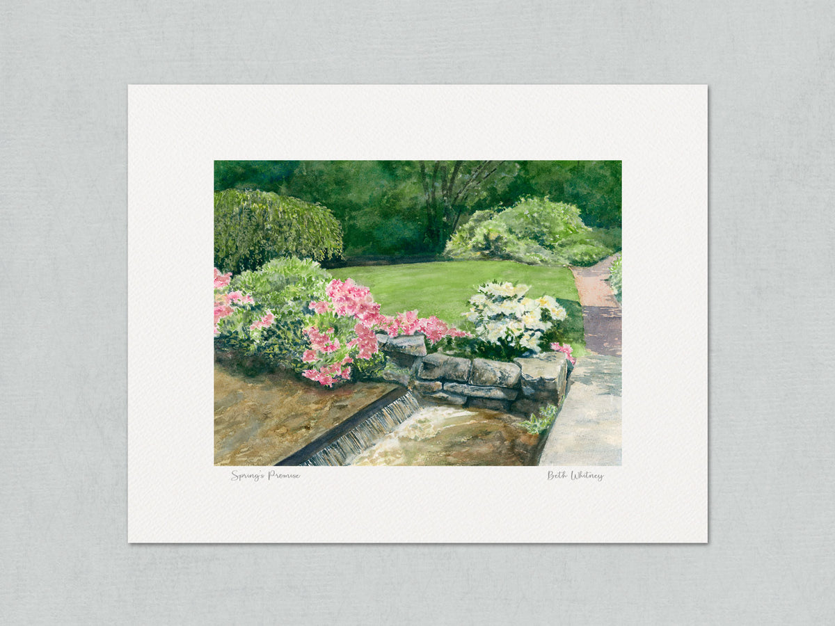 Unmatted archival watercolor print of Spring's Promise, Asticou Azalea Garden, Mount Desert Island, Maine, on gray background.