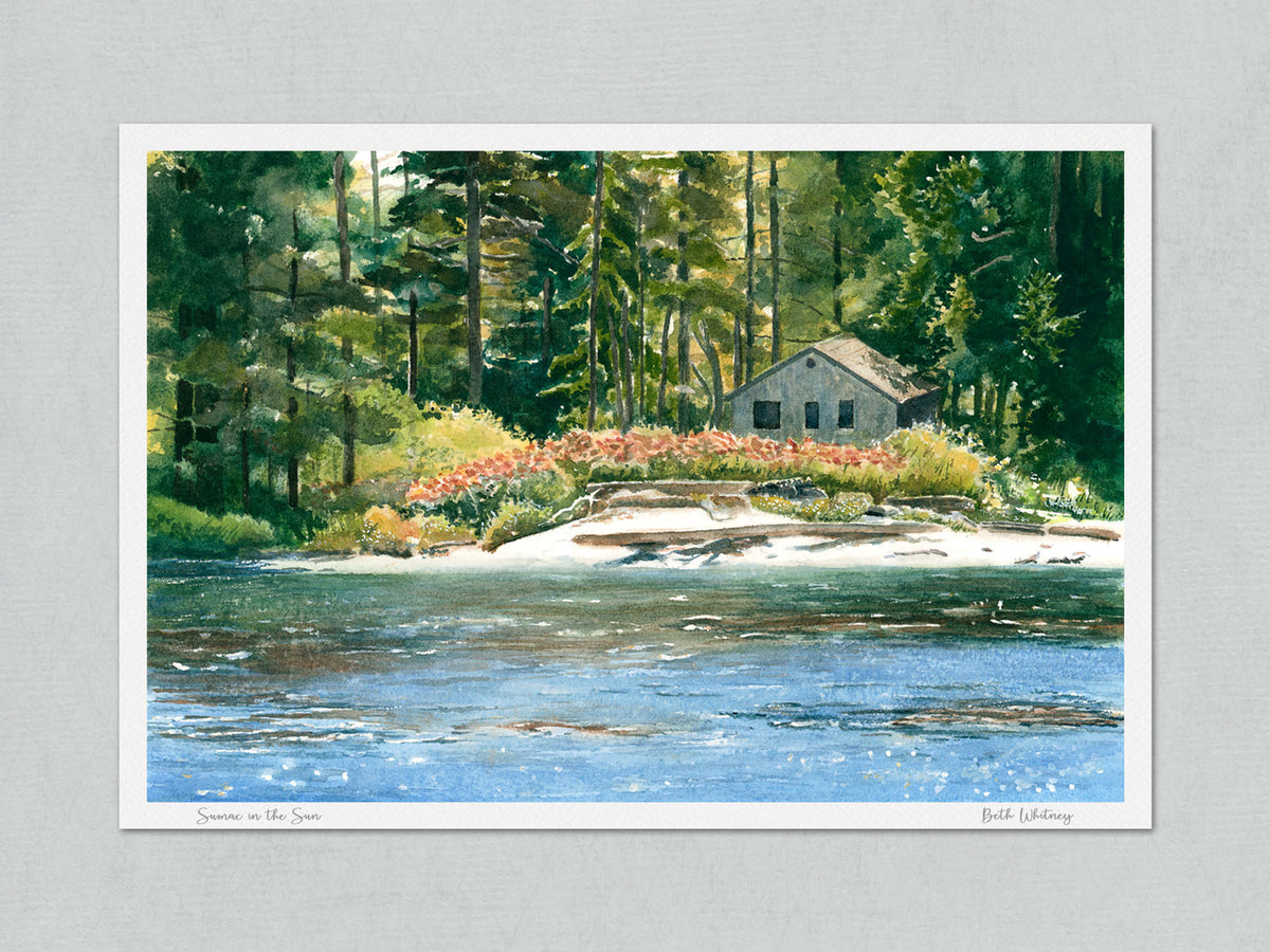 Unmatted archival watercolor print of Sumac in the Sun, near Boothbay Harbor, Maine, with artist's signature and painting title, on gray background.