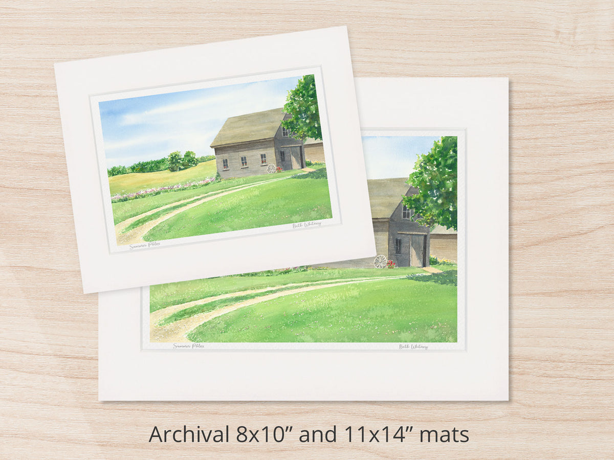 Archival watercolor prints of Summer Phlox, Stone Barn Farm, Salsbury Cove, Maine, shown in 8x10 and 11x14 mat sizes.
