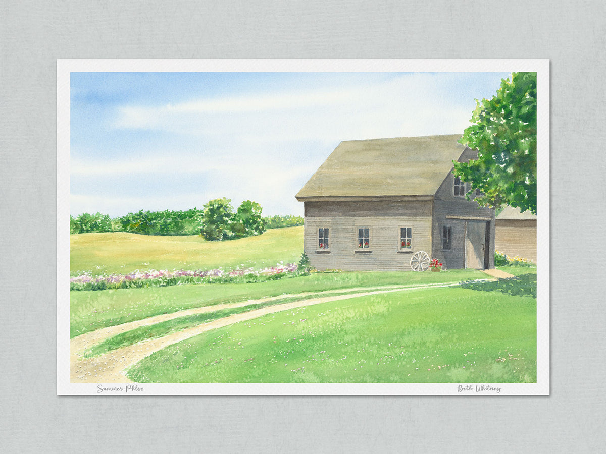 Unmatted archival watercolor print of Summer Phlox, Stone Barn Farm, Salsbury Cove, Bar Harbor, Maine, on gray background.