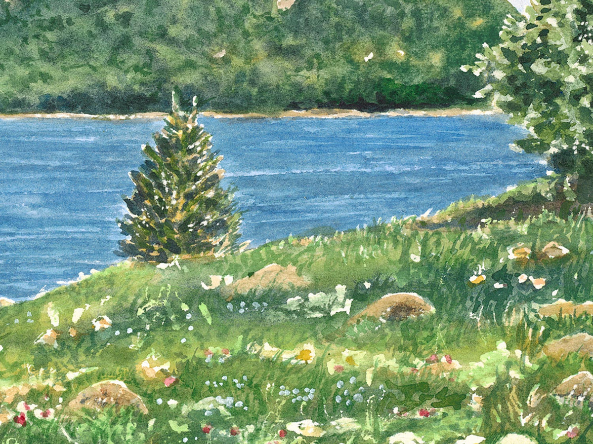 Close-up detail of original watercolor painting of The Bubbles, showing Queen Anne's lace and summer wildflowers on the Jordan Pond House lawn.