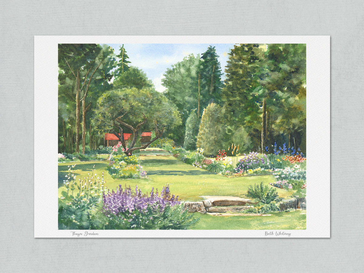 Unmatted archival watercolor print of Thuya Garden, Northeast Harbor, Maine, on gray background.