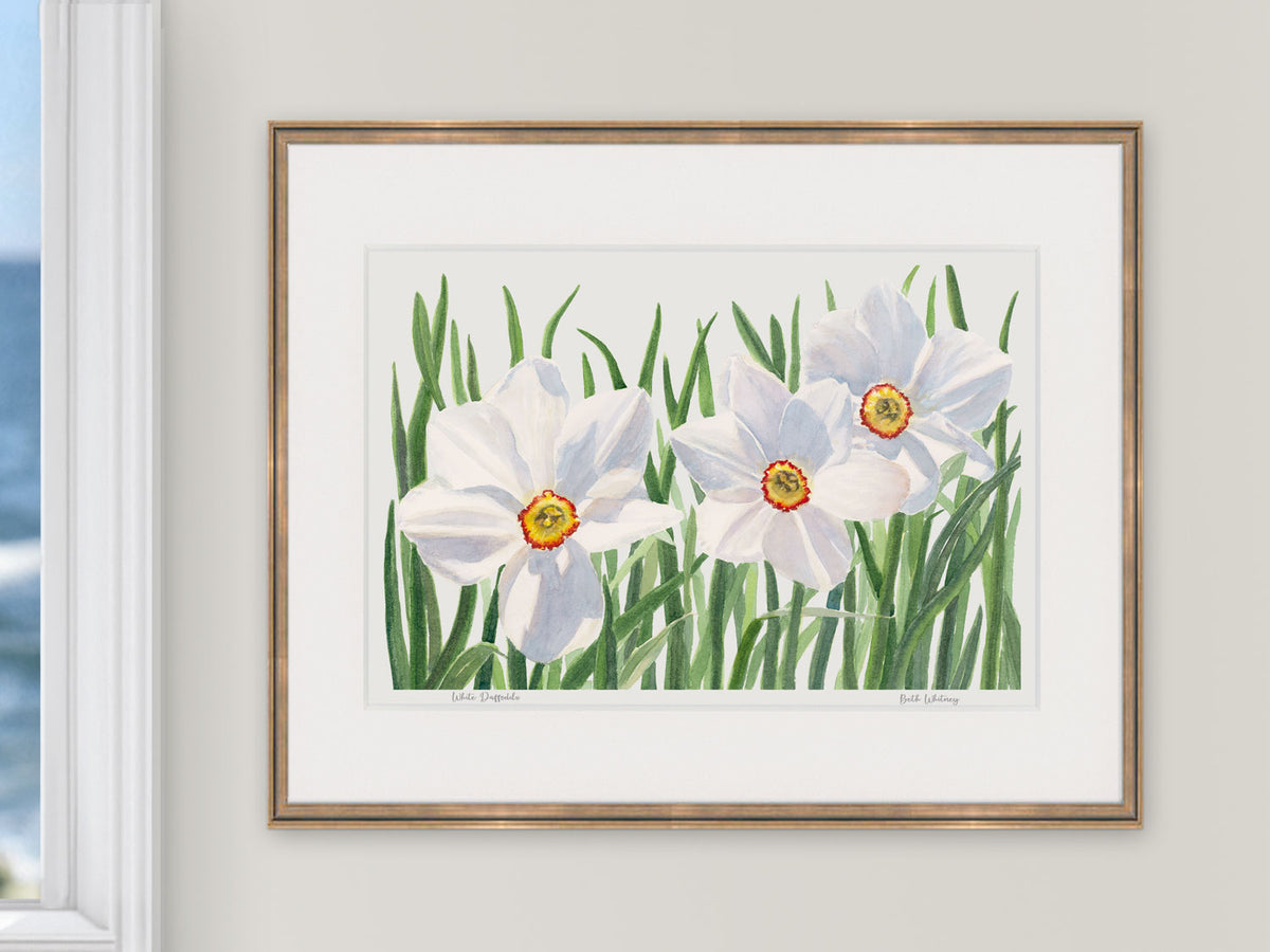 Framed watercolor print of White Daffodils, Boothbay, Maine, in a luminous gold frame in a window setting.