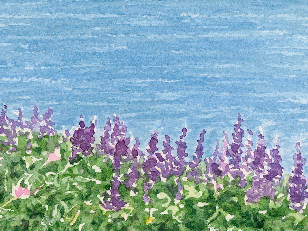 Close-up detail of original watercolor painting of Whitlocks Mill Light, showing purple lupine and wildflowers growing along the St. Croix River in Maine.