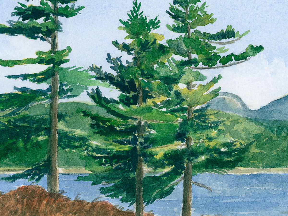 Close-up detail of original watercolor painting of Witch Hole Pond, showing brushwork on the trees.