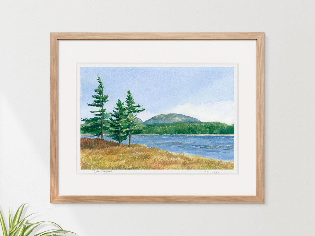 Framed watercolor print of Witch Hole Pond, Acadia National Park, Maine, in a warm wood frame on a neutral wall.