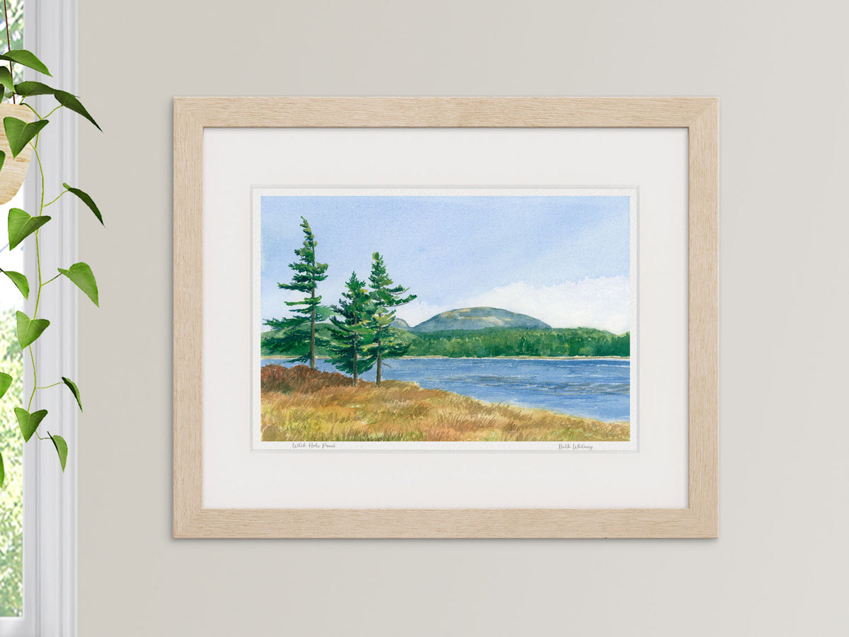 Framed watercolor print of Witch Hole Pond, Acadia National Park, in a warm wood frame beside a window with a hanging plant.
