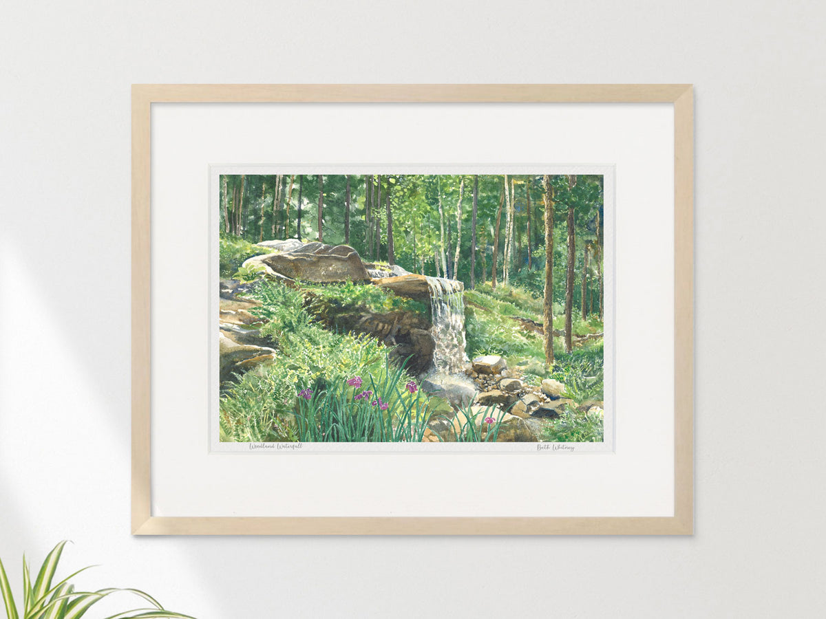 Framed watercolor print of Woodland Waterfall, Coastal Maine Botanical Gardens, Boothbay, in a warm wood frame on a neutral wall.