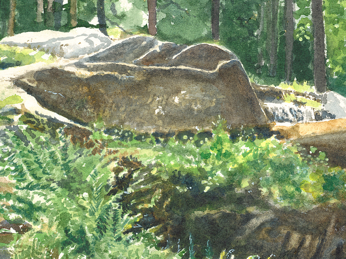 Close-up detail of original watercolor painting of Woodland Waterfall with sunlit rocks and fern details at Coastal Maine Botanical Gardens.