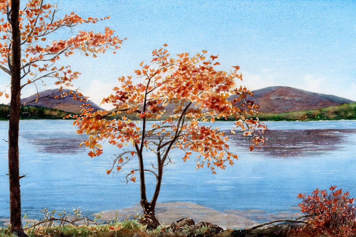 Original watercolor painting of Autumn Splendor showing fall foliage along the Eagle Lake carriage road in Acadia National Park, by Beth Whitney.